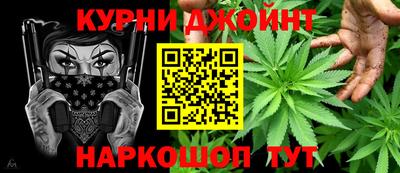 сатива Бердск