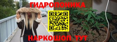 сатива Бердск