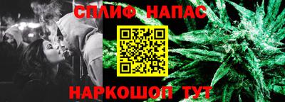 сатива Бердск